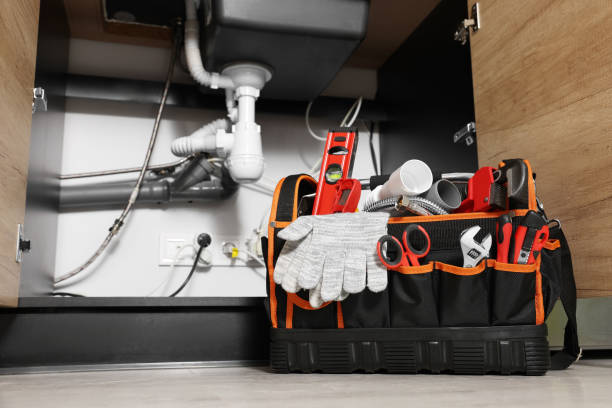 Best Leak Detection Services  in Tok, AK
